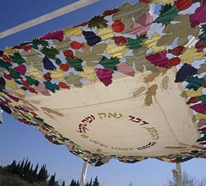 The Vine Chuppah